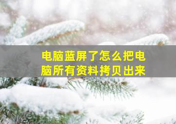 电脑蓝屏了怎么把电脑所有资料拷贝出来