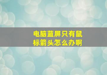 电脑蓝屏只有鼠标箭头怎么办啊