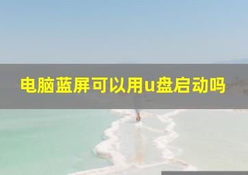 电脑蓝屏可以用u盘启动吗