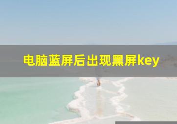 电脑蓝屏后出现黑屏key