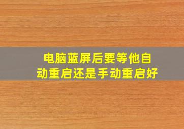 电脑蓝屏后要等他自动重启还是手动重启好