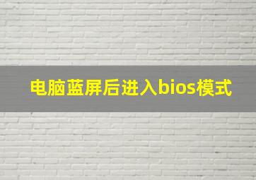 电脑蓝屏后进入bios模式