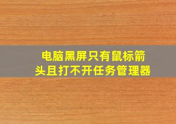 电脑黑屏只有鼠标箭头且打不开任务管理器