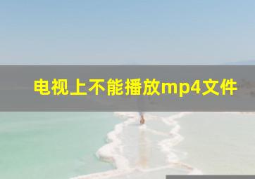 电视上不能播放mp4文件