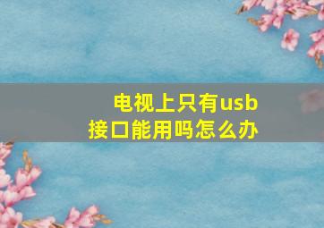 电视上只有usb接口能用吗怎么办