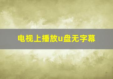 电视上播放u盘无字幕