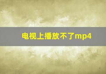 电视上播放不了mp4