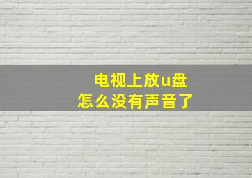 电视上放u盘怎么没有声音了