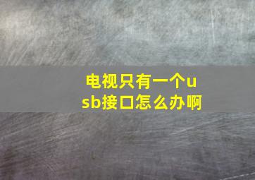 电视只有一个usb接口怎么办啊