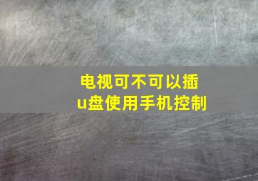 电视可不可以插u盘使用手机控制