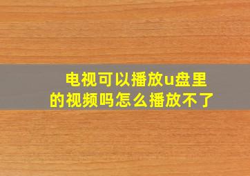 电视可以播放u盘里的视频吗怎么播放不了