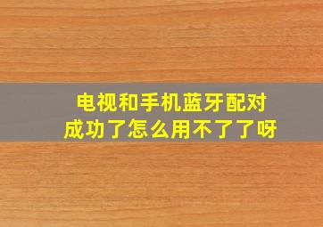 电视和手机蓝牙配对成功了怎么用不了了呀