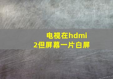 电视在hdmi2但屏幕一片白屏