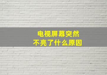 电视屏幕突然不亮了什么原因