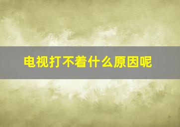 电视打不着什么原因呢