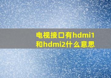 电视接口有hdmi1和hdmi2什么意思