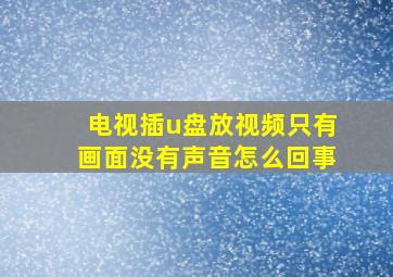 电视插u盘放视频只有画面没有声音怎么回事