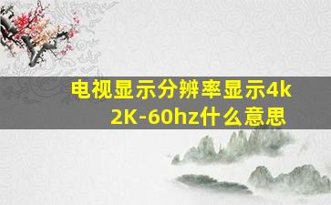 电视显示分辨率显示4k2K-60hz什么意思