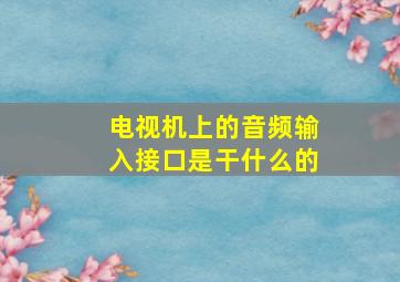 电视机上的音频输入接口是干什么的