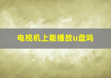 电视机上能播放u盘吗