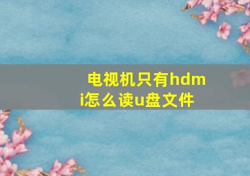 电视机只有hdmi怎么读u盘文件