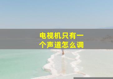 电视机只有一个声道怎么调