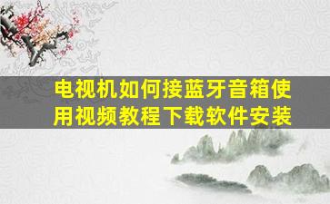 电视机如何接蓝牙音箱使用视频教程下载软件安装