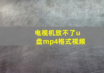 电视机放不了u盘mp4格式视频