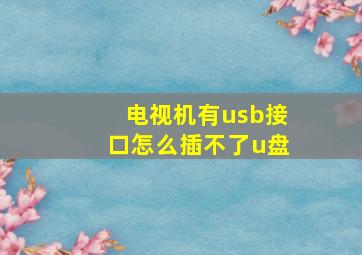 电视机有usb接口怎么插不了u盘