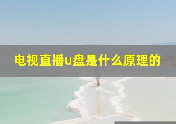 电视直播u盘是什么原理的