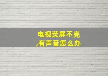 电视荧屏不亮,有声音怎么办