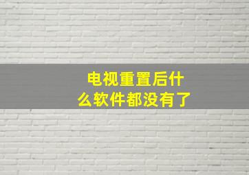 电视重置后什么软件都没有了