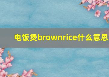 电饭煲brownrice什么意思