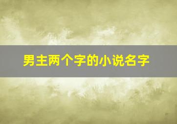 男主两个字的小说名字