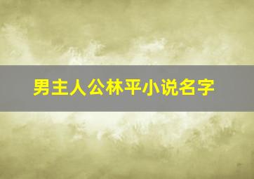 男主人公林平小说名字