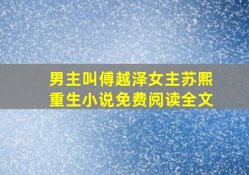 男主叫傅越泽女主苏熙重生小说免费阅读全文