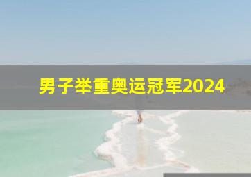 男子举重奥运冠军2024