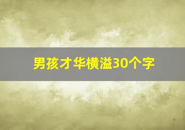 男孩才华横溢30个字