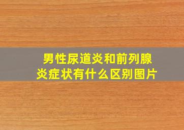 男性尿道炎和前列腺炎症状有什么区别图片