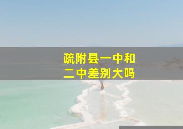 疏附县一中和二中差别大吗