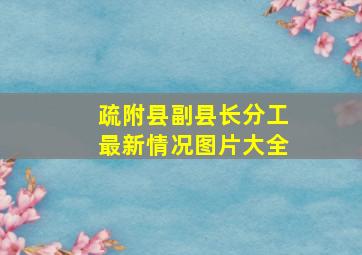 疏附县副县长分工最新情况图片大全