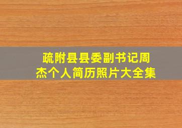 疏附县县委副书记周杰个人简历照片大全集