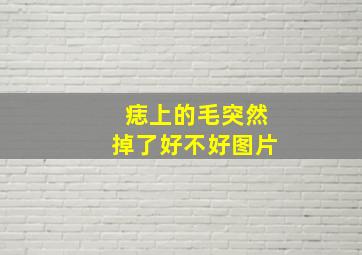 痣上的毛突然掉了好不好图片