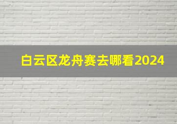 白云区龙舟赛去哪看2024