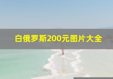 白俄罗斯200元图片大全