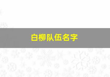 白柳队伍名字