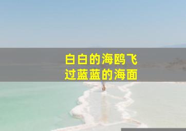 白白的海鸥飞过蓝蓝的海面