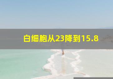 白细胞从23降到15.8