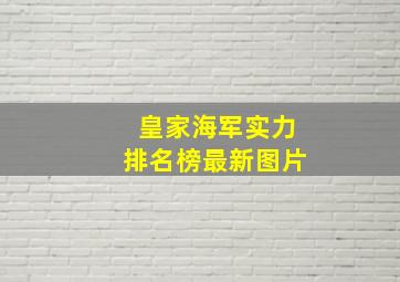 皇家海军实力排名榜最新图片