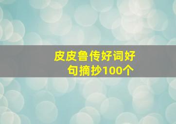 皮皮鲁传好词好句摘抄100个